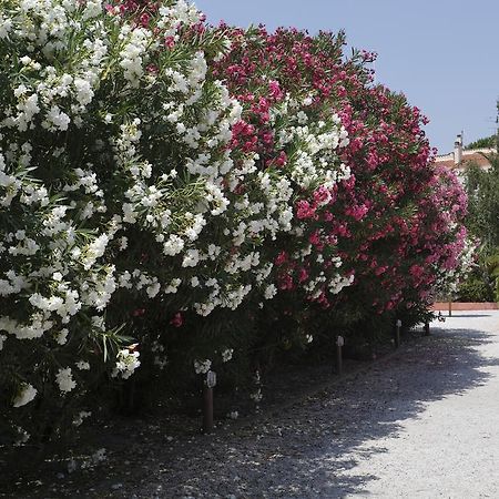 Vacancéole - Résidence Las Motas Alénya Exterior foto